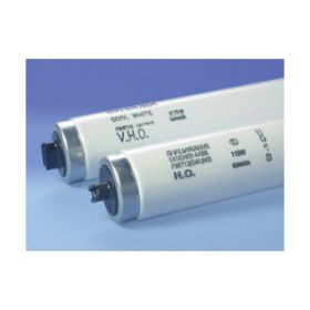 Ledvance 22207 8 Ft. T8 High Output Fluorescent Lamp, 86 Watts, Recessed Double Contact R17D Base, 8200 Lumens