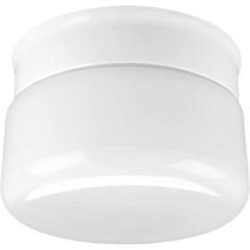 Progress Lighting P3516-30 Contemporary/Modern Close-to-Ceiling Fixture, (1) Incandescent Lamp, 120 VAC