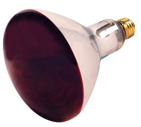 Satco S4998 R40 Incandescent Reflector Heat Lamp, 250 Watts, Medium E26 Base, Dimmable, Red
