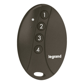 P&S 067695 4-Scene Pocket Remote Control with Netatmo, Black