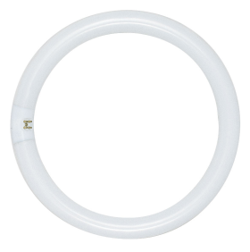 Satco S6506 16 In. T9 Circline Fluorescent Lamp, 40 Watts, Four-Pin G10q Base, 2950 Lumens, Cool White